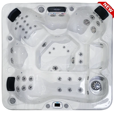 Costa-X EC-749LX hot tubs for sale in Scranton