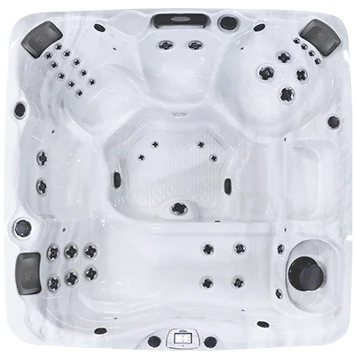 Avalon-X EC-840LX hot tubs for sale in Scranton