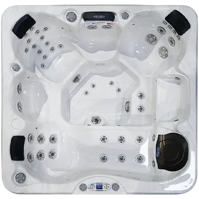 Avalon EC-849L hot tubs for sale in Scranton