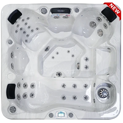 Avalon-X EC-849LX hot tubs for sale in Scranton