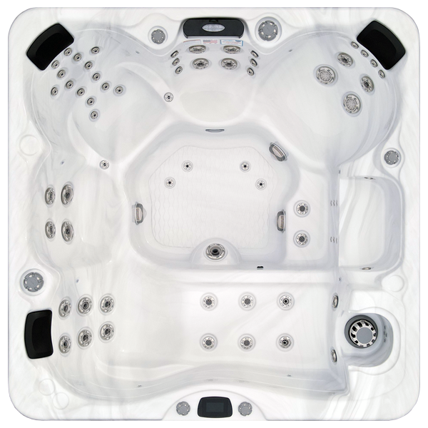 Avalon-X EC-867LX hot tubs for sale in Scranton