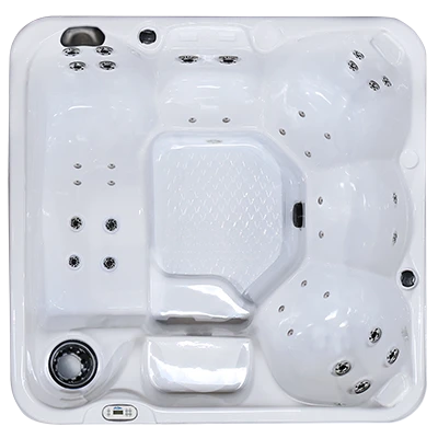 Hawaiian PZ-636L hot tubs for sale in Scranton